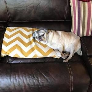 Meet your Posher, Yvonne